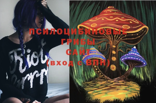 марки lsd Каменка