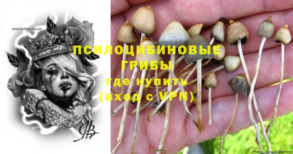 дмт Инсар