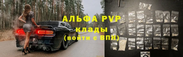 дмт Инсар