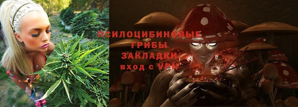 дмт Инсар