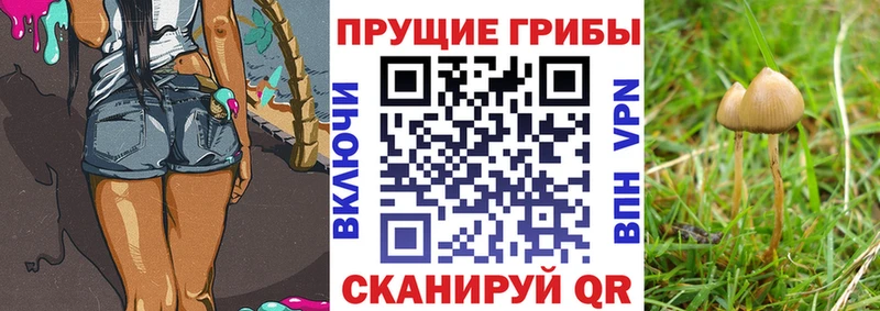 Галлюциногенные грибы мухоморы  Купить закладки  Железноводск 