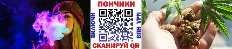 Каннабис OG Kush  Купить где  Железноводск 